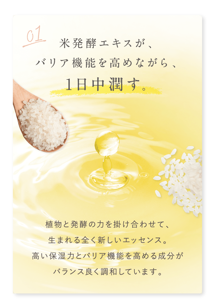 米発酵エキスが、バリア機能を高めながら、1日中潤す。
