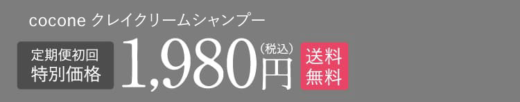 CLAY CREAM SHAMPOO 1,980円 送料無料