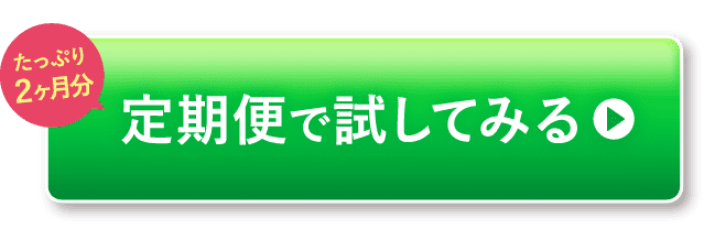 定期便で試してみる